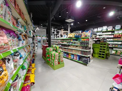 Aligator ZOO sklep zoologiczny